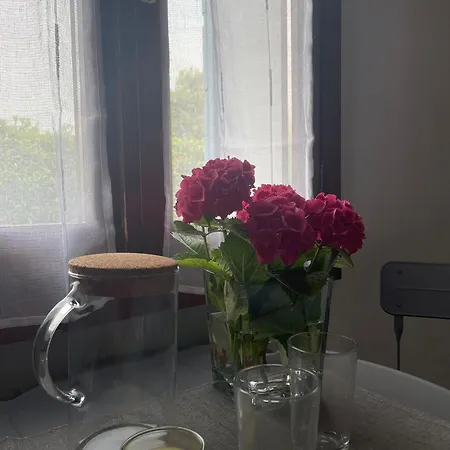 Guest house Locazione Riv'al Sile Quinto Di Treviso
